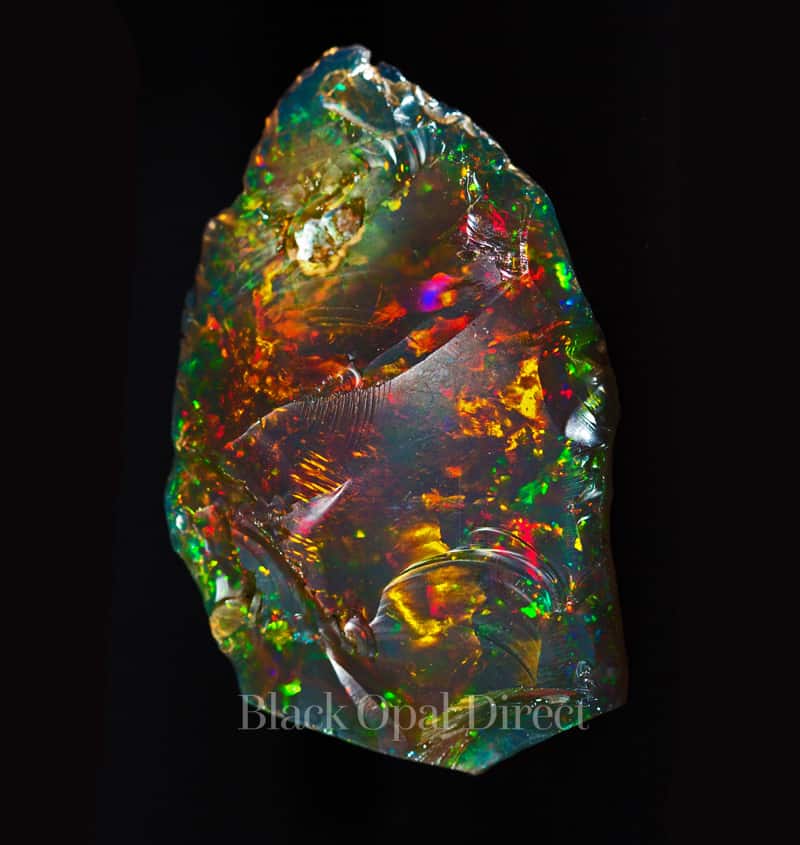 Rare hot sale black opal